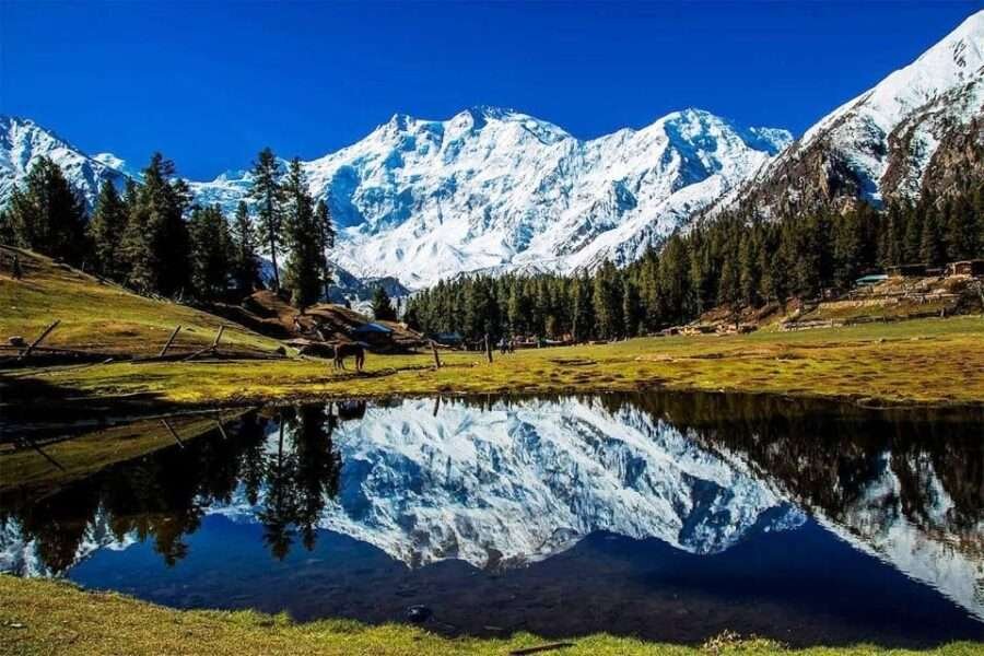 Trip To Fairy Meadows